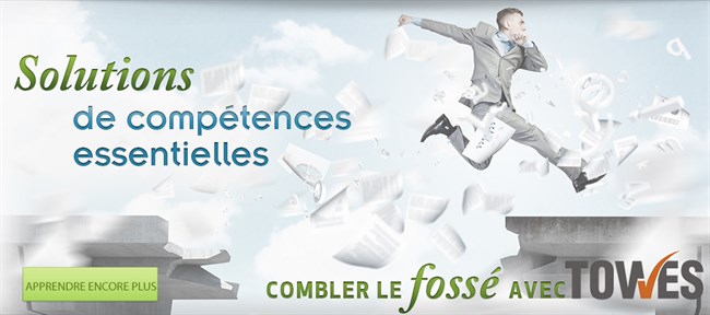 TOWES Solutions Banner_fr